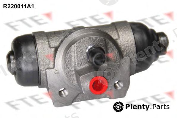  FTE part R220011A1 Wheel Brake Cylinder