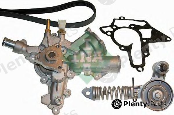  INA part 529001030 Water Pump + V-Ribbed Belt Kit