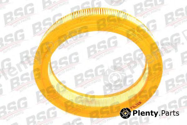  BSG part BSG30-135-022 (BSG30135022) Air Filter