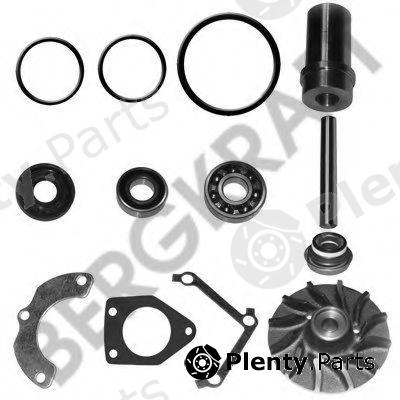  BERGKRAFT part BK4167722WP Repair Kit, water pump