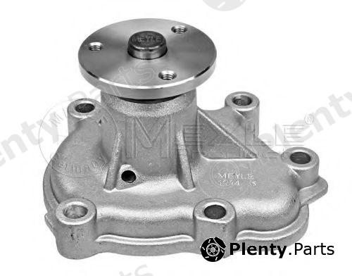  MEYLE part 6136000002 Water Pump