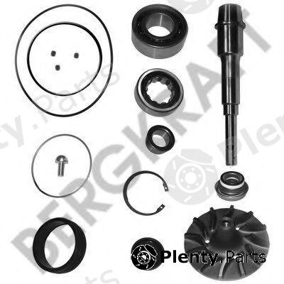  BERGKRAFT part BK4217722WP Replacement part