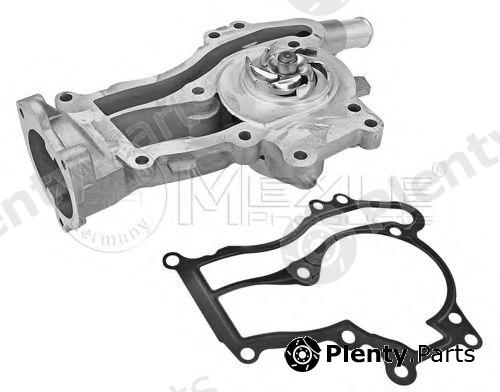  MEYLE part 6132200013 Water Pump