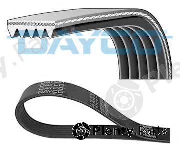 DAYCO part 5PK1250 V-Ribbed Belts