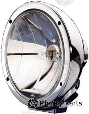  HELLA part 1F3009094-071 (1F3009094071) Spotlight