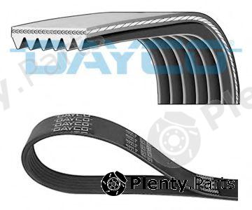  DAYCO part 6PK1165 V-Ribbed Belts
