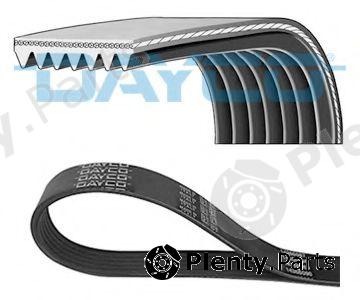  DAYCO part 7PK1770 V-Ribbed Belts