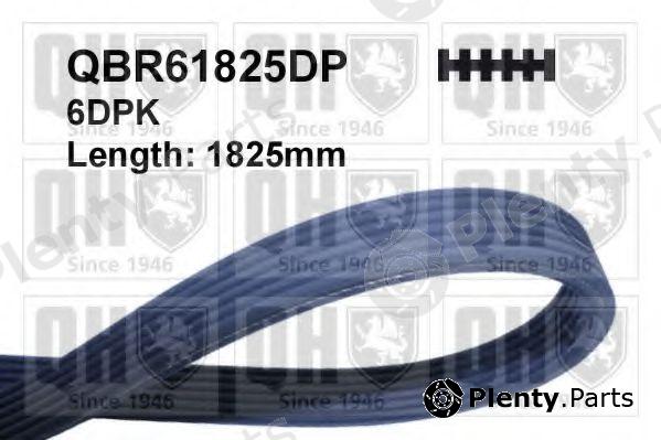  QUINTON HAZELL part QBR61825DP V-Ribbed Belts