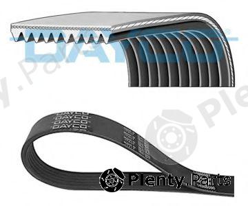  DAYCO part 10PK1350HD V-Ribbed Belts