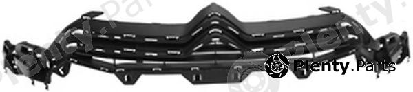  PHIRA part C4-10100 (C410100) Radiator Grille
