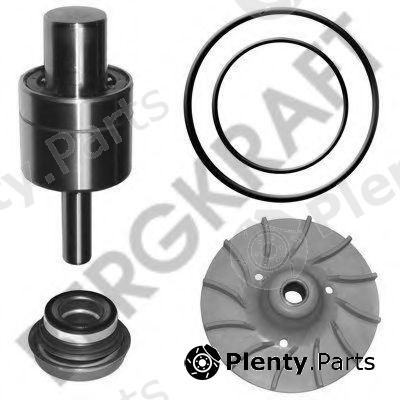  BERGKRAFT part BK4307722WP Repair Kit, water pump