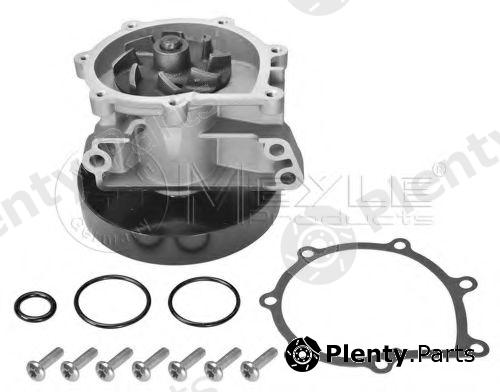  MEYLE part 8139321951 Water Pump