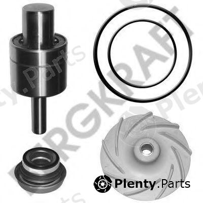  BERGKRAFT part BK4207722WP Repair Kit, water pump