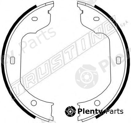  TRUSTING part 019.029 (019029) Brake Shoe Set, parking brake