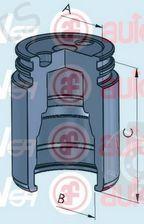  AUTOFREN SEINSA part D025251 Piston, brake caliper