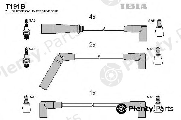  TESLA part T191B Ignition Cable Kit
