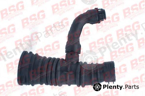  BSG part BSG30-720-063 (BSG30720063) Hose, air supply