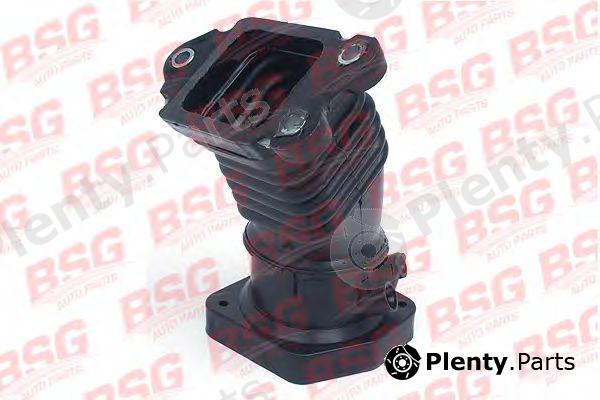  BSG part BSG30-720-065 (BSG30720065) Charger Intake Hose