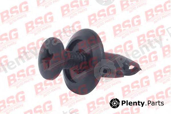  BSG part BSG30-995-015 (BSG30995015) Clip, trim/protective strip
