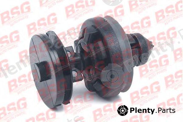  BSG part BSG30-995-016 (BSG30995016) Clip, trim/protective strip