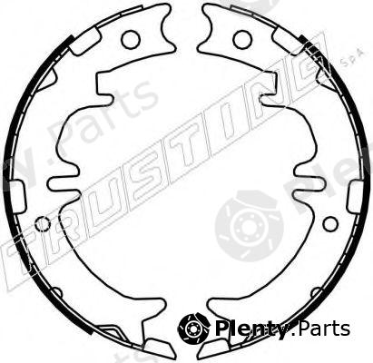  TRUSTING part 115.311 (115311) Brake Shoe Set, parking brake