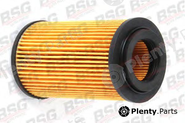 BSG part BSG60-130-002 (BSG60130002) Fuel filter