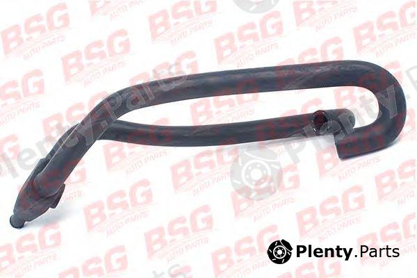  BSG part BSG30-720-039 (BSG30720039) Hose, heat exchange heating