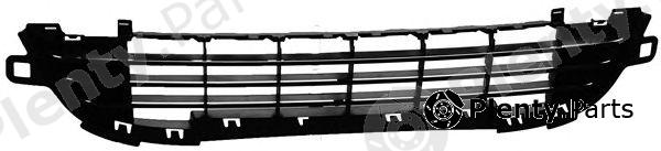  PHIRA part 207-09111 (20709111) Radiator Grille