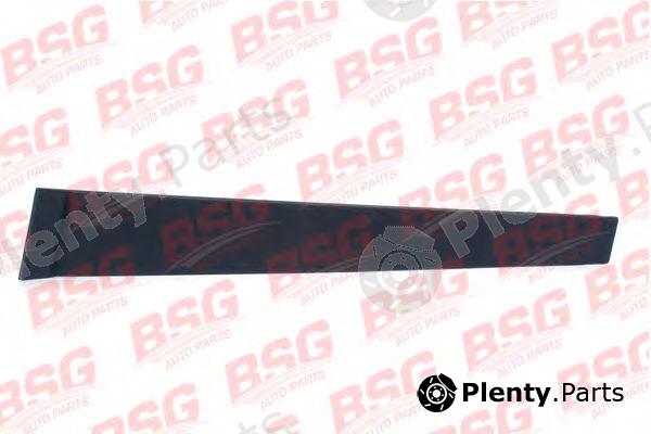  BSG part BSG30-925-001 (BSG30925001) Trim/Protective strip, door window