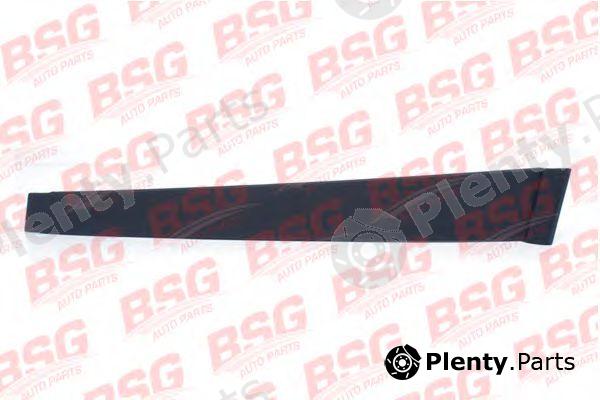  BSG part BSG30-925-005 (BSG30925005) Trim/Protective strip, door window