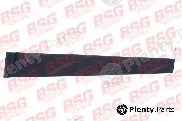  BSG part BSG30-925-007 (BSG30925007) Trim/Protective strip, door window