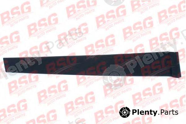  BSG part BSG30-925-008 (BSG30925008) Trim/Protective strip, door window