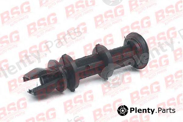  BSG part BSG30-916-001 (BSG30916001) Fastening Element, outside mirror cover