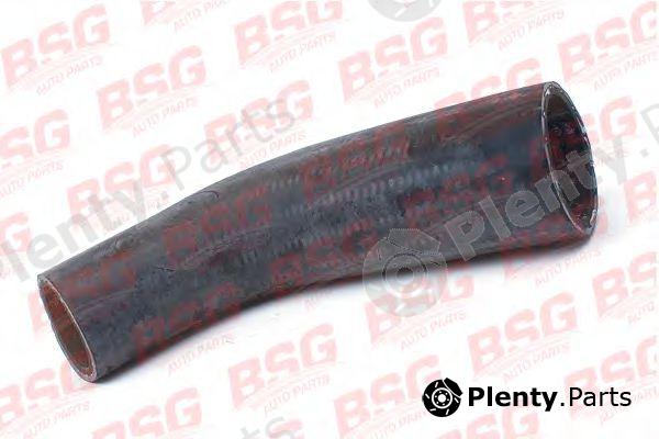  BSG part BSG30-720-100 (BSG30720100) Charger Intake Hose