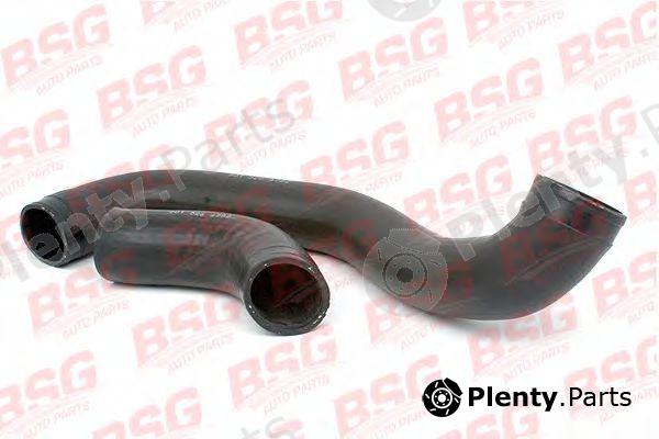  BSG part BSG60-720-008 (BSG60720008) Charger Intake Hose