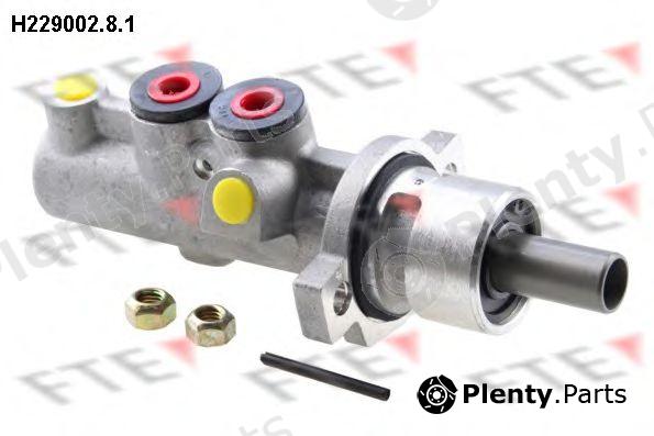  FTE part H229002.8.1 (H22900281) Brake Master Cylinder