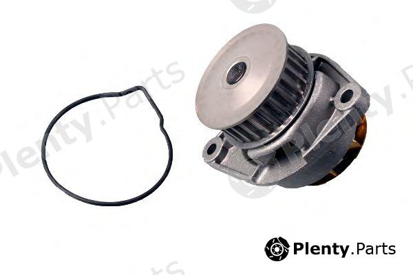  HEPU part P541 Water Pump