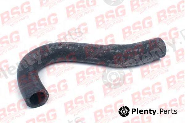  BSG part BSG30-720-042 (BSG30720042) Breather Hose, expansion tank