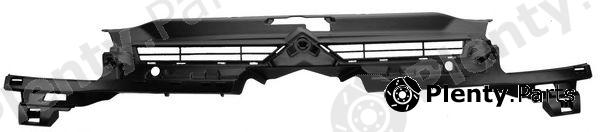  PHIRA part C4-04100 (C404100) Radiator Grille