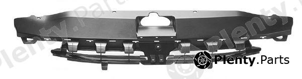  PHIRA part 307-01100 (30701100) Radiator Grille