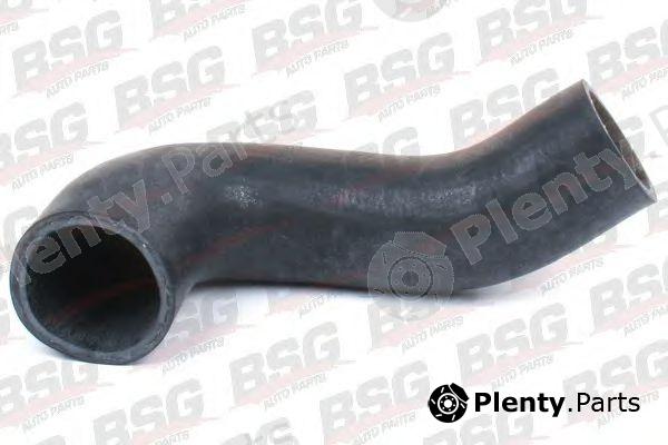 BSG part BSG30-720-098 (BSG30720098) Charger Intake Hose