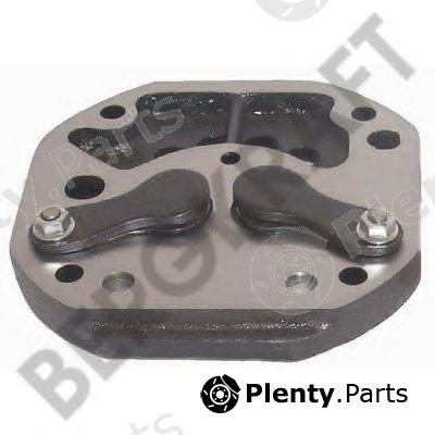  BERGKRAFT part BK1111721AS Valve Plate, air compressor