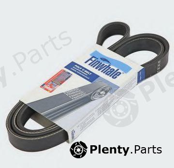  FINWHALE part BP6700 V-Ribbed Belts