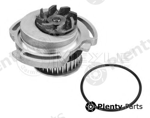 MEYLE part 1130120002 Water Pump