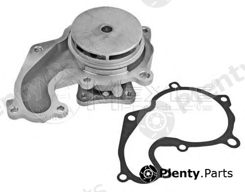  MEYLE part 7132200001 Water Pump