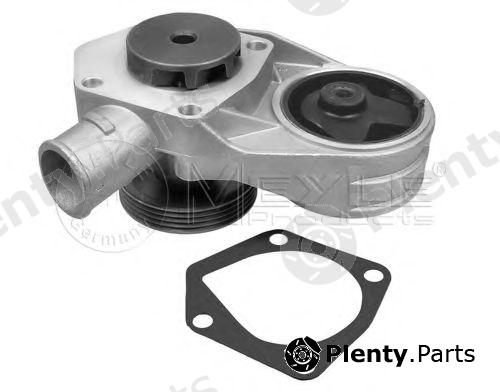  MEYLE part 0130120039 Water Pump