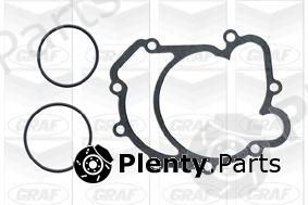  GRAF part PA613 Water Pump