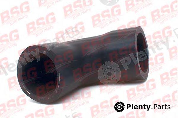  BSG part BSG30-720-099 (BSG30720099) Charger Intake Hose