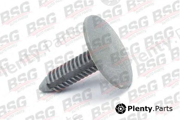  BSG part BSG30-995-010 (BSG30995010) Clip