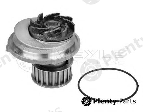  MEYLE part 6136004099 Water Pump